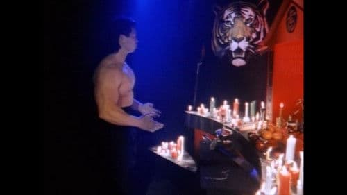 Bloodbrother III - Fearless Tiger Bild 2