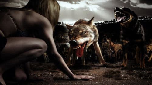 The Breed - Blutige Meute Bild 3