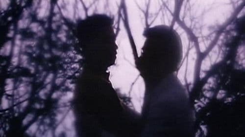 たゞ独り死す Bild 1