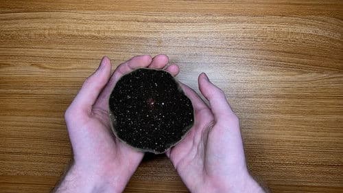 The World in Our Hands Bild 3