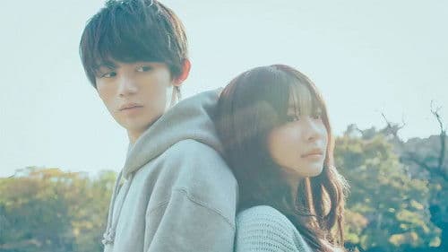 透明な夜に駆ける君と、目に見えない恋をした。 Bild 1