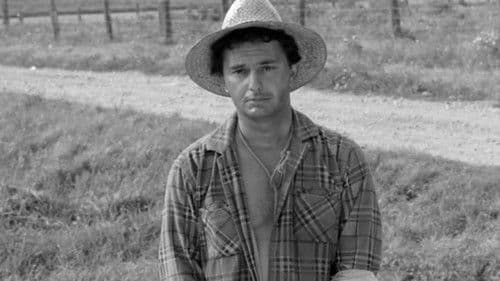 La corde au cou Bild 5