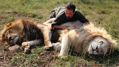 The Lion Ranger Bild 5