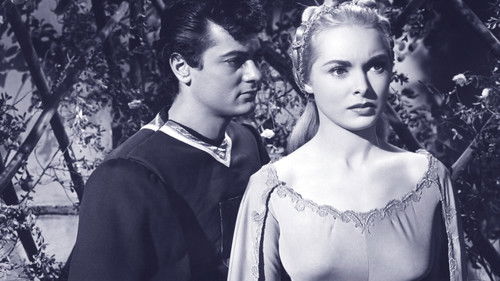 Der eiserne Ritter von Falworth Bild 7