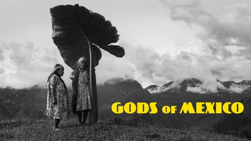 Dioses de México Bild 1