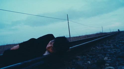 アンモナイトのささやきを聞いた Bild 8