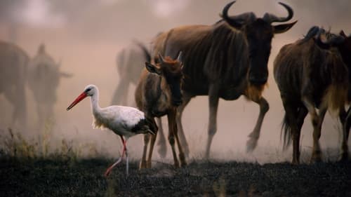 Feindselige Erde Bild 2