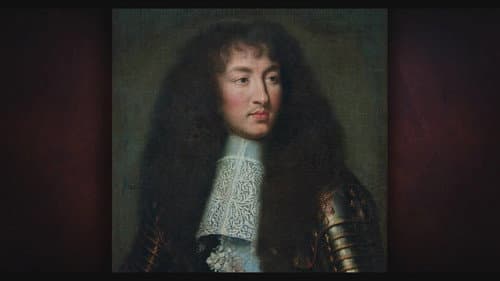 D'Artagnan, Musketier im Dienst des Sonnenkönigs Bild 1