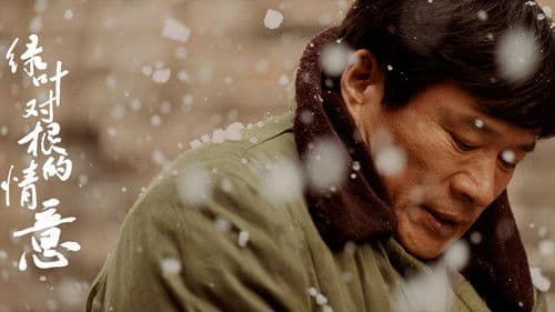 绿叶对根的情意 Bild 1