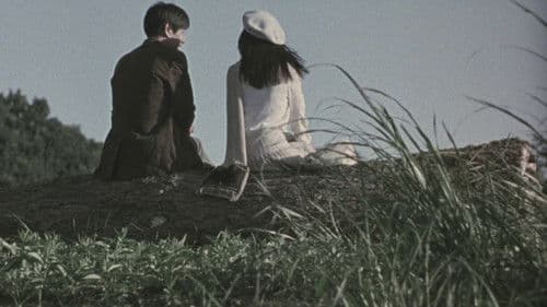 Tony Takitani Bild 6