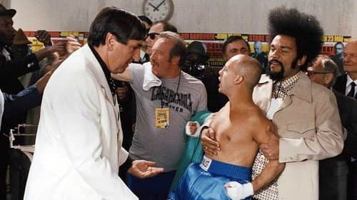 Casablanca Driver Bild 1