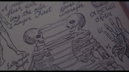 Evil Dead - Die Saat des Bösen Bild 8