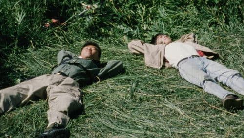 草の上の仕事 Bild 2