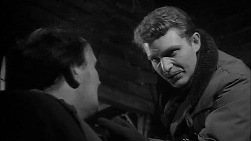 The Informers Bild 1