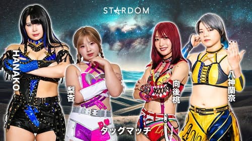 第15回 ゴッデス・オブ・スターダム ～タッグリーグ戦～ in SENDAI Bild 6