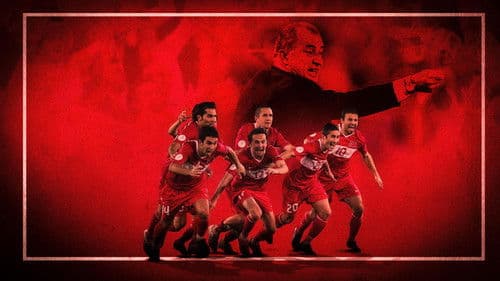 2008 Milli Takım Hikayesi Bild 1