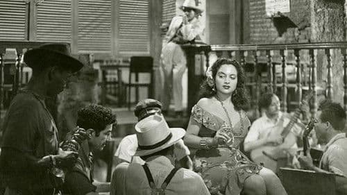 La balandra Isabel llegó esta tarde Bild 1