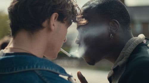 What You Will Bild 2