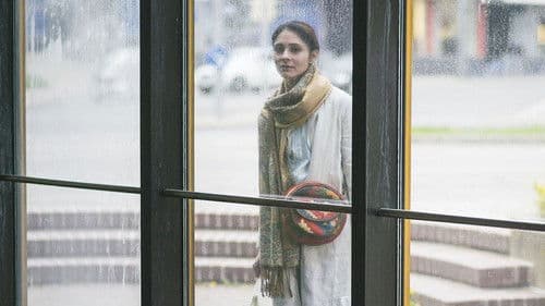 Die defekte Katze Bild 5