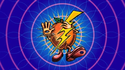 Electric Apricot Bild 2