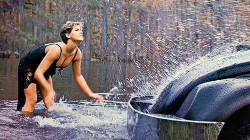 Fuscão Preto Bild 2