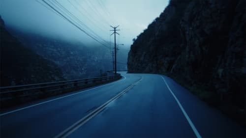 All That You Love Bild 2