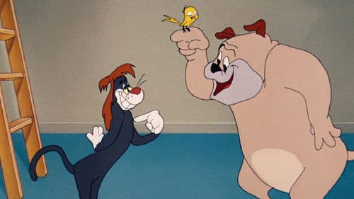 The Counterfeit Cat Bild 1