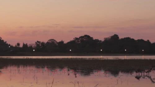 La patria de todos los tarros de colores Bild 1