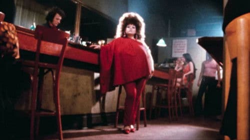 Scarecrow in a Garden of Cucumbers Bild 4