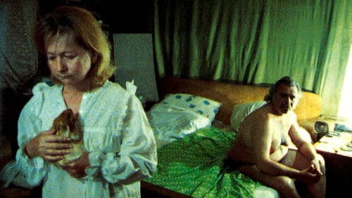 Tierische Liebe Bild 1