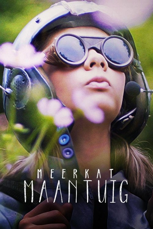 Erdmännchen und Mondrakete