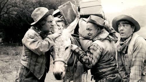 Rockin' in the Rockies Bild 2