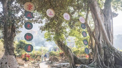 緣路山旮旯 Bild 1