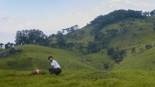 O Disco das Histórias Bild 1