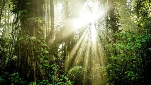 Unser grüner Planet Bild 1