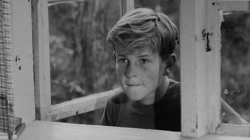 Kalle Blomquist lebt gefährlich Bild 2