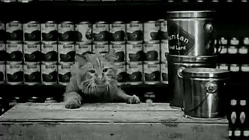 The Grocery Clerk Bild 1