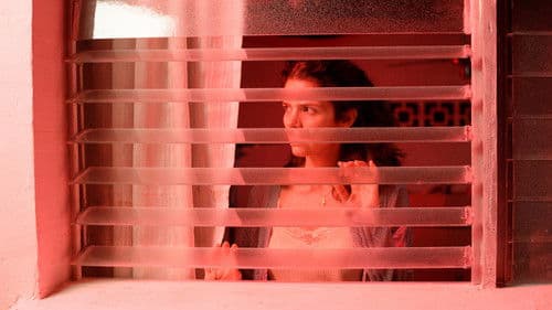 Llegaron de noche Bild 1