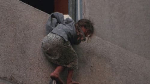 Beyrouth, jamais plus Bild 1