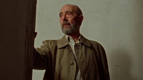 ¡Hasta enterrarlos! Bild 3