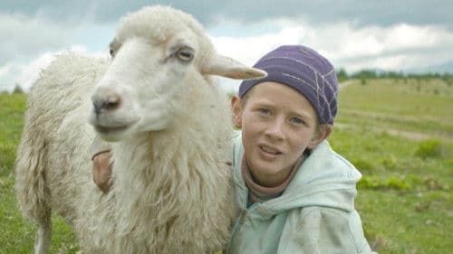 Жива ватра Bild 1