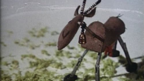 Вот какие чудеса Bild 1