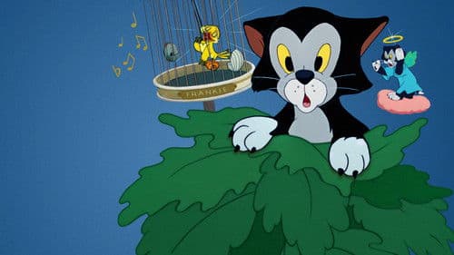 Frankies Katzenmusik Bild 1