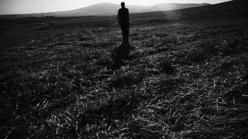 Heyfek Neragirbar Bild 4