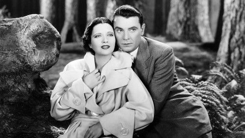 The Goose and the Gander Bild 4