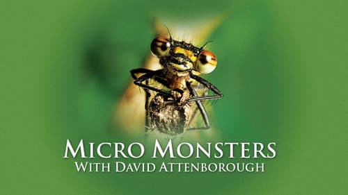 Micro Monsters with David Attenborough Bild 8