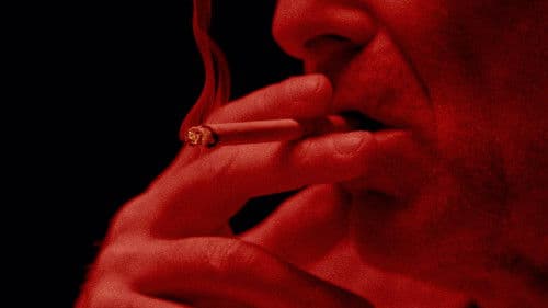 Het appelhuis Bild 1