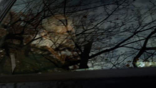 A Baleful Reunion Bild 2