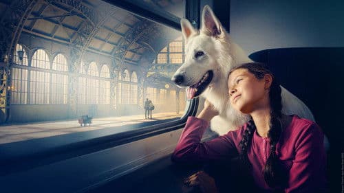 Lampo: Ein Vierbeiner auf Reisen Bild 2