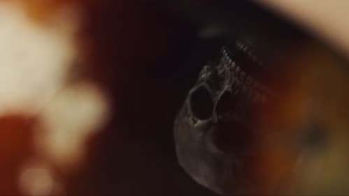 Trick or Treat 2! Bild 1